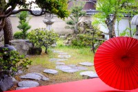 旧石川家住宅　縁側から庭への景色