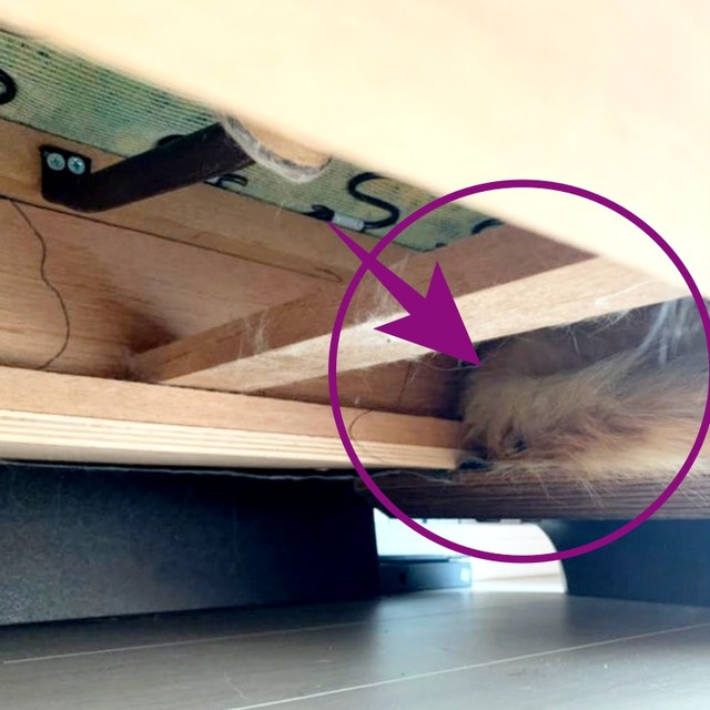 ソファの底を見ると…枠組みに隠れていました（画像提供：ほとぷぅとごうとけんさん）