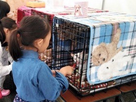 犬の殺処分、ワースト脱却へ　愛護センター「しっぽの森」