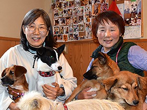 保護犬活動はシニアにおすすめ！　ゆるくつながり、息長い支援