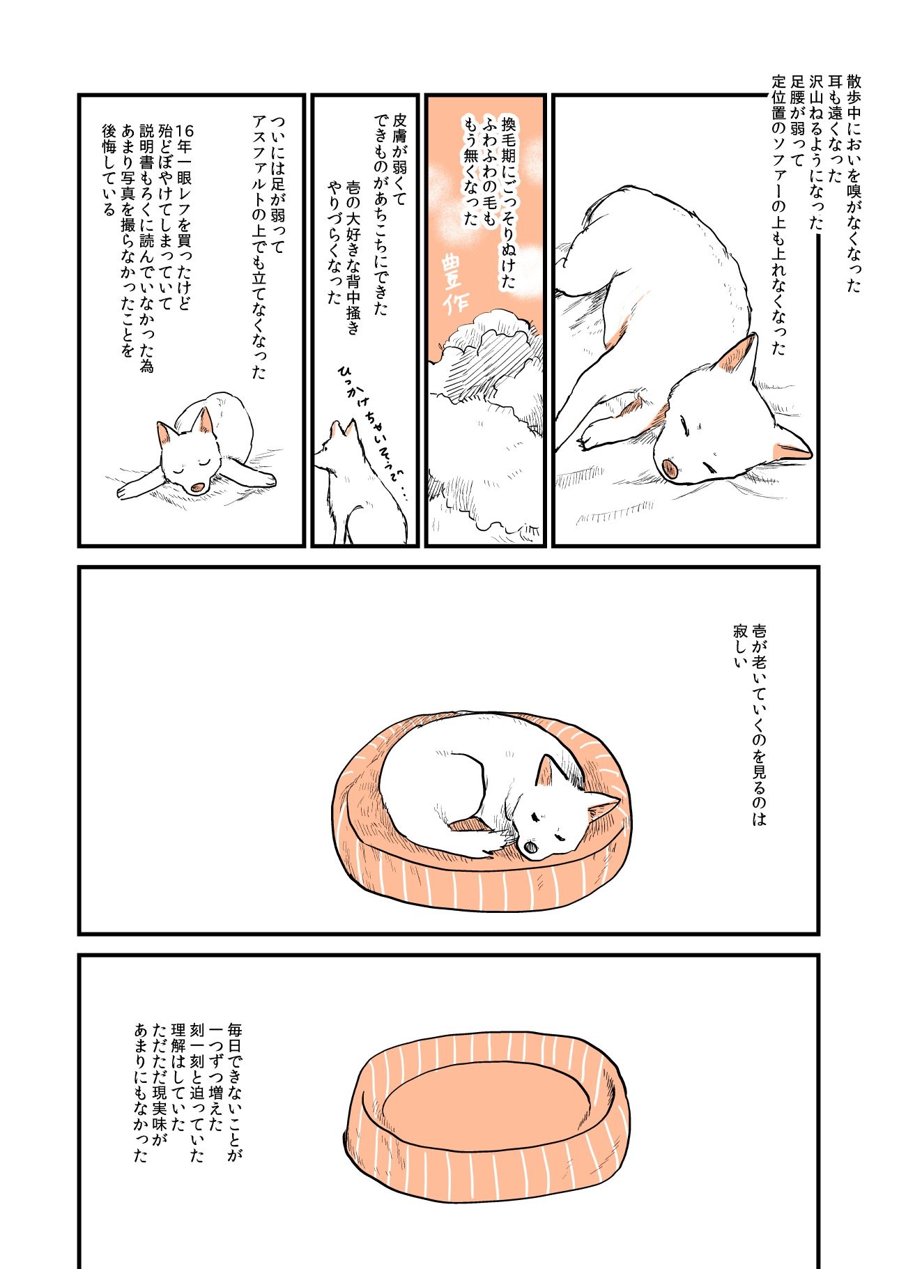 ペットを飼う悲しい別れはつきもの