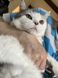 1日でも長く生きてほしかった、大切な命