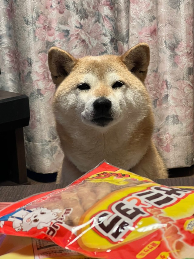 ちょっと食いしん坊なんです（「2代目マサイノセンシ1026（Ver1.25）」さん提供）