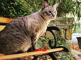 きれいな風景の中で撮影　「ソラ」はかなりびびっています