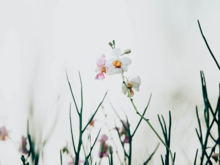 フリーライター、webライティング