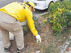 犬の「落とし物」フンと「Ｇメン」いたちごっこ　世界でも