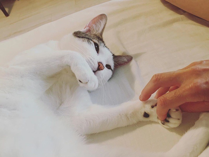 お母さんの手を握って眠りにつくヨルくん