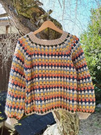 相楽晴子さんのインスタグラムから