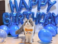 2025年1月19日、1歳の誕生日を迎えたたおくん（画像提供：たおとるねさん）
