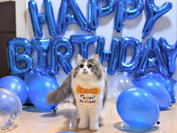 2025年1月19日、1歳の誕生日を迎えたたおくん（画像提供：たおとるねさん）