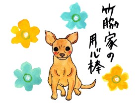 メリーさんの羊を熱唱！？　我が家の用心棒だったチワワの「ペーター」　