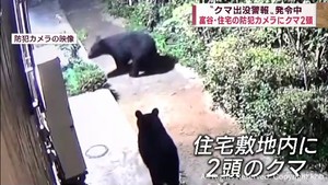 宮城県富谷市の住宅防犯カメラにクマ２頭　宮城県内で目撃相次ぐ
