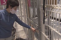 おりにいる犬を世話する佐藤るみさん