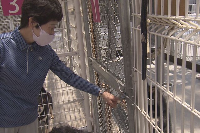 おりにいる犬を世話する佐藤るみさん