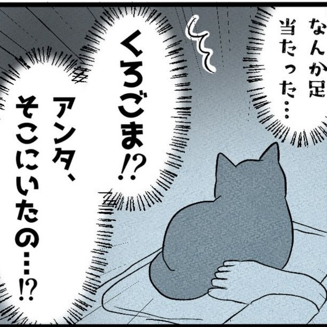 足元まで来てくれた！（イゴカオリさん提供）