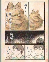 【漫画】『今日もネコ様の圧が強い』20　©Uguisu Utako