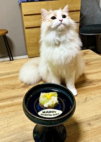 2025年3月20日、1歳の誕生日を迎えたもなかくん（画像提供：を子さん）