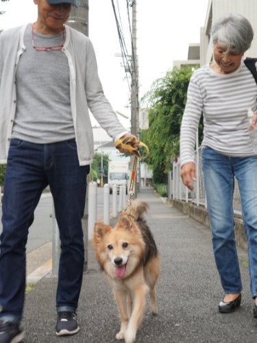 やっほー、散歩だ