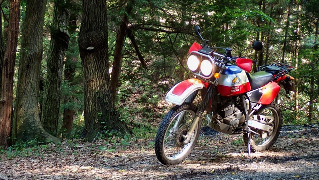 愛車のバイクで林道を走ります。 ※ナノレカワさん提供