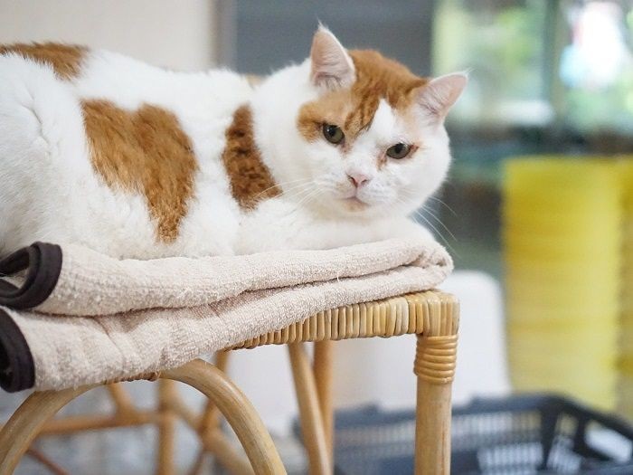 今日もいい湯だよ～