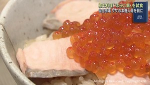 旬の味覚　はらこ飯の試食会　仙台市中央卸売市場