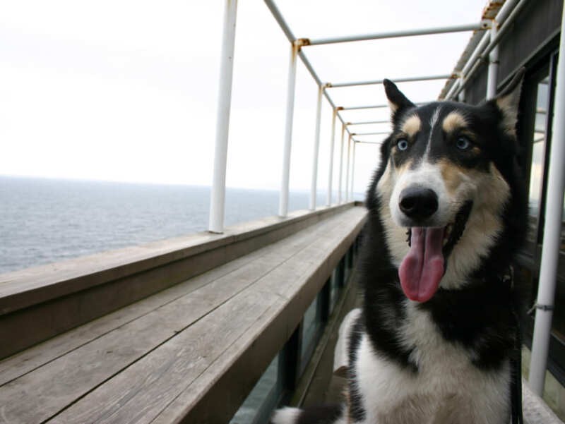 江の島の魚見亭のテラス席にて