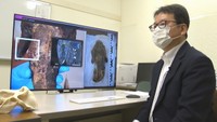 人魚のミイラに「哺乳類とも魚類とも異なる特徴」　研究チームが中間報告　岡山