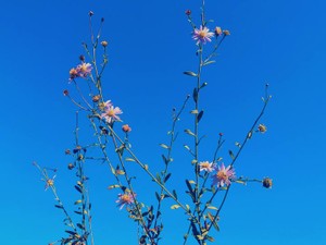 人の目を気にする自分も受け入れて「好き」「やりたい」に浸る一年にしたい