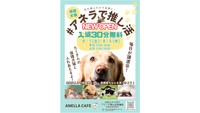 ANELLA CAFE　ブランチ岡山北長瀬店　＃アネラで推し活