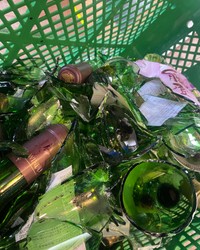 スタッフたちは避難所から毎日通い、片付け作業と今年収穫のブドウの手入れに勤しんでいます。