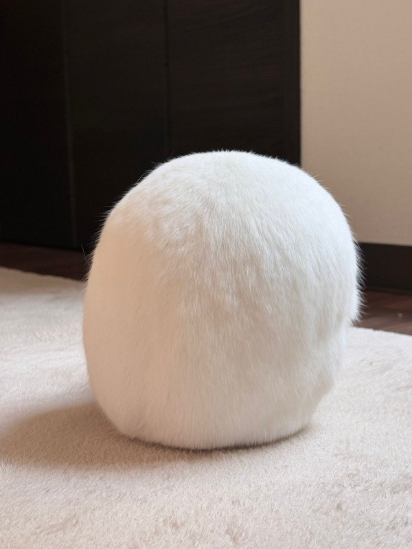 白いボール！？ アイスくんの姿に驚きの声続出！（画像提供：アイス 主：みみさん）