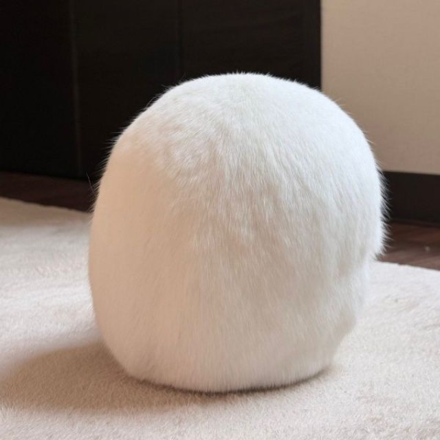 白いボール！？ アイスくんの姿に驚きの声続出！（画像提供：アイス 主：みみさん）