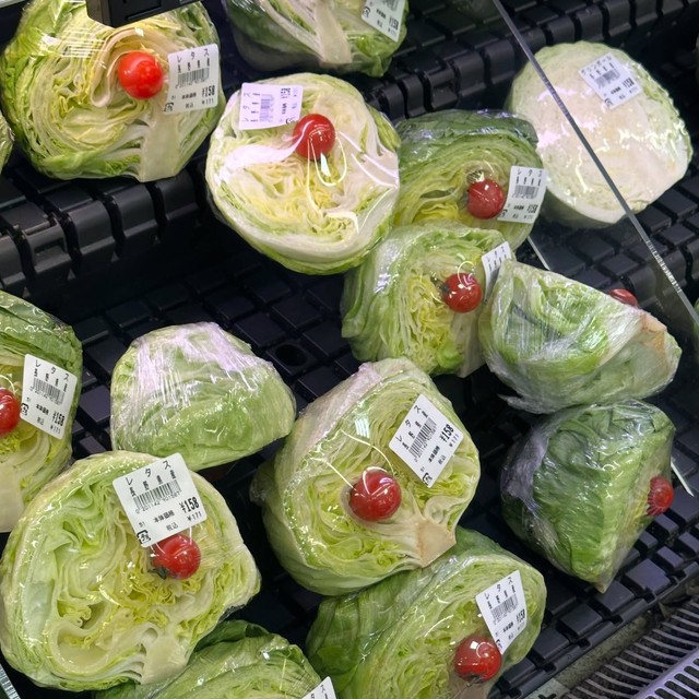 この様子には、確かに足止めさせられますね（提供：yoshimiさん）