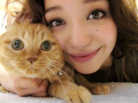 ２０年を一緒に過ごした愛猫「梅」　私の腕の中で旅立っていった