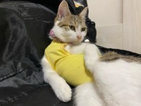 セクシーでしょ？(笑)