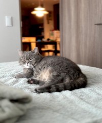 ベッドでひまりちゃん