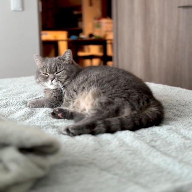 ベッドでひまりちゃん