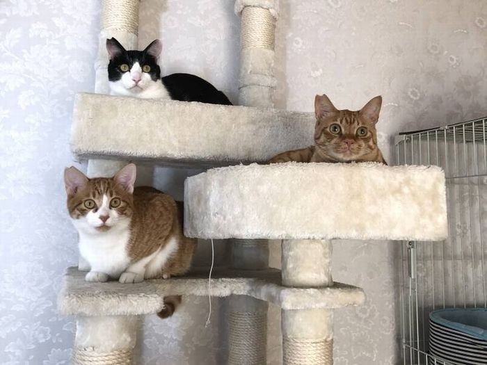 3匹仲良くなれた