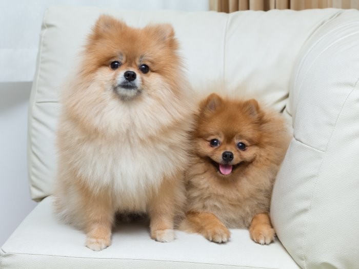 室内も涼しく保つ