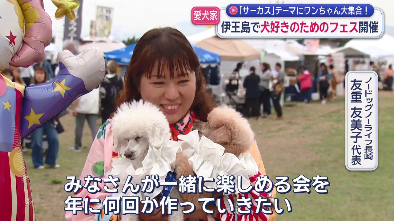わんちゃん 笑顔いっぱいになれる」 伊王島にワンちゃん大集合 (7) | 長崎ニュース