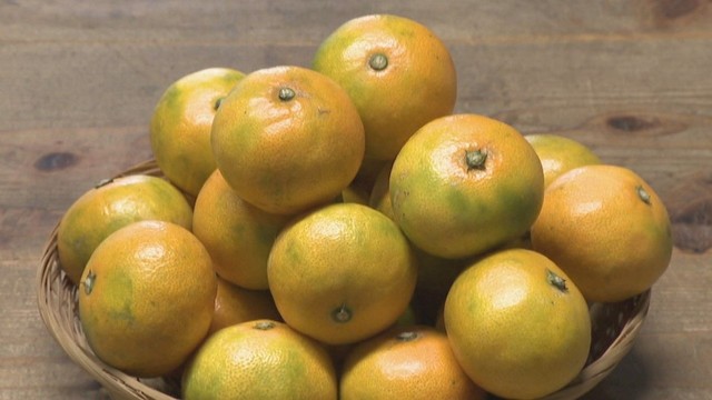 高松市が「果実酒特区」に認定　地元産ブドウ・ミカンで果実酒を製造へ