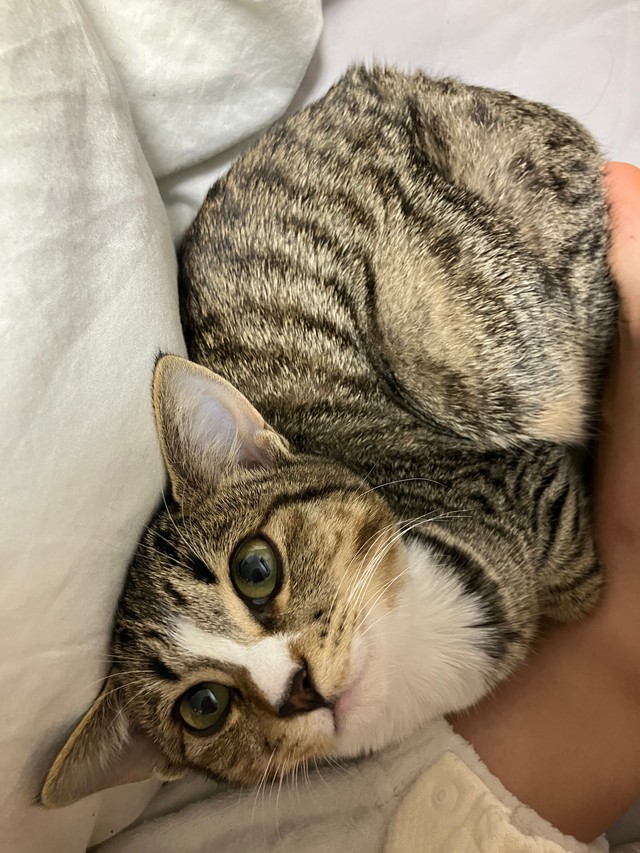 このまますこやかに育ちますように（画像提供：むぎときびさん）