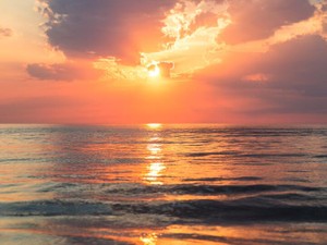 離婚、引っ越し、転職…変化の年で掴んだ幸せ。次の目標は