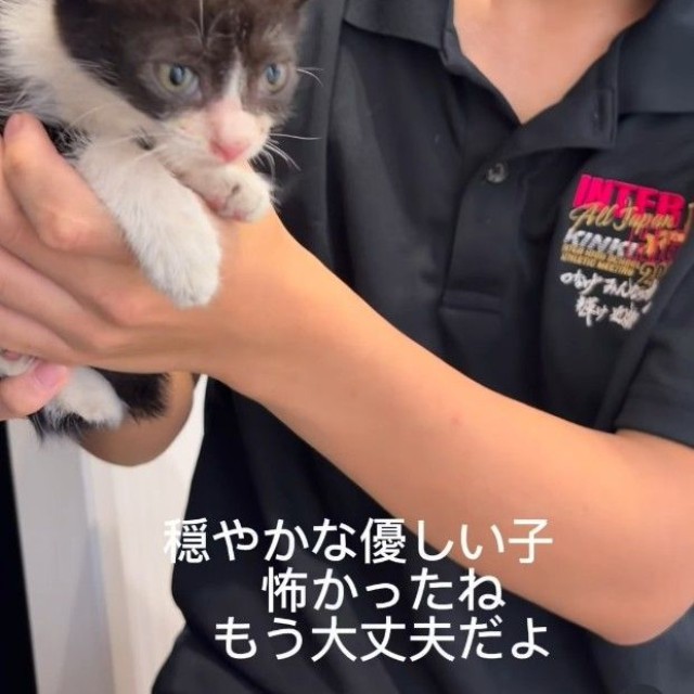 無事に保護したのは、推定生後1カ月半ほどの白黒の男の子（「NPO法人子猫園ベルソーデシャトンズ」さん提供、Instagramよりキャプチャ撮影）