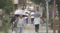 岡山市北区　午後2時半ごろ