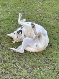 ゴローン、ゴローン、とリラックス♡