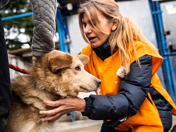 現地ボランティアと協力しながら、救出作業を進める　(c)LAV