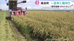 一足早く極早稲種「おもてなし」の稲刈りが始まる　宮城・涌谷町