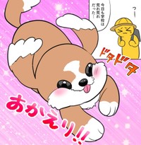 作者が帰宅すると急いでお出迎えだ！（弾正よしかげさん提供）