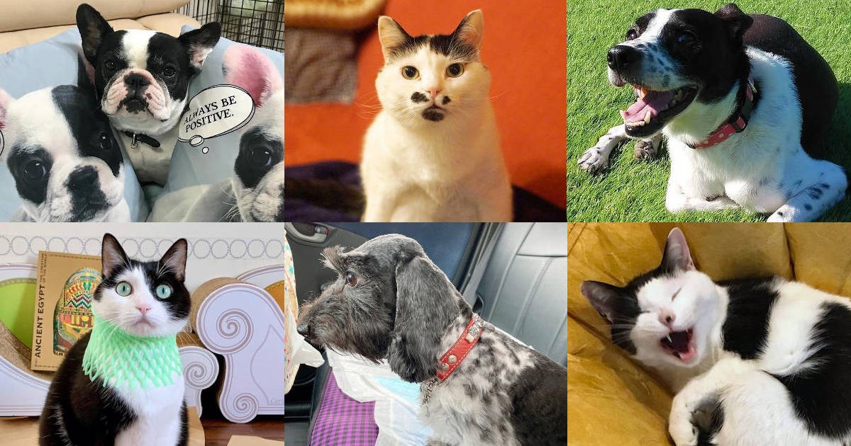 13e3bd753d35c3e273ebf2b9f4ec07